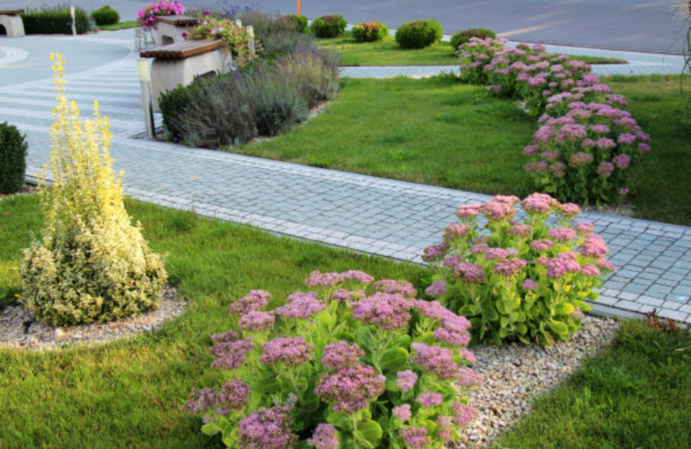 About Blue Water Pool